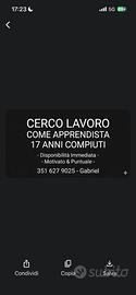 Magazziniere altro