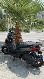 Piaggio Beverly 300 "S" verde jungle 2024