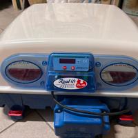 Incubatrice per avicoli