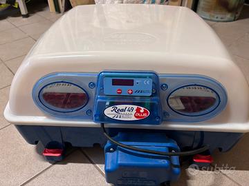 Incubatrice per avicoli