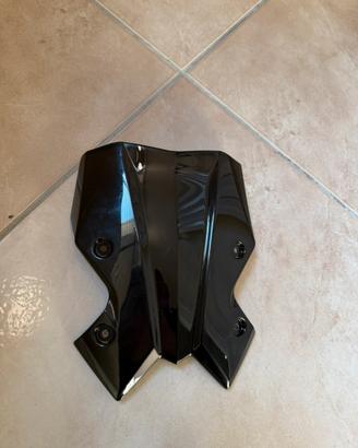 Cupolino Kawasaki