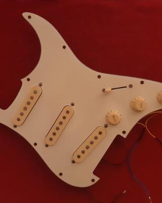 Battipenna cablato originale EKS modello Starfire 
