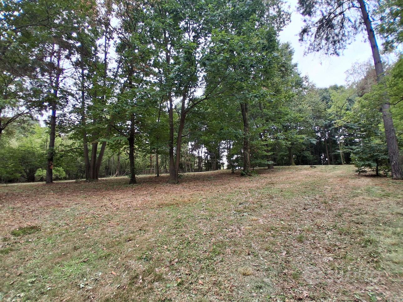 Terreno boschivo 6.500 mq recintato - Vista 2