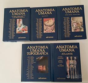 Anatomia Umana Anastasi-Set completo 5 volumi NUOV