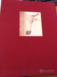 La Fattoria degli Animale edizione speciale