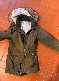 Parka Hollister