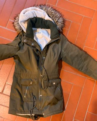 Parka Hollister