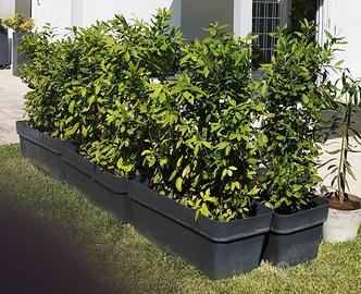 Vasi fioriera da giardino 100cm 3 pz