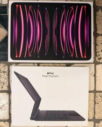 Ipad Pro 2022 1 tera come nuovo