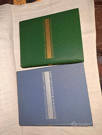 dizionario italiano russo