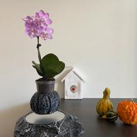 Vaso fluttuante a levitazione magnetica