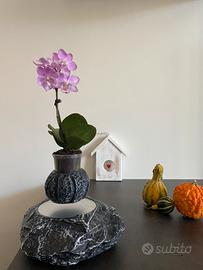 Vaso fluttuante a levitazione magnetica