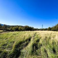 Rif.575| terreno agricolo san dorligo della valle