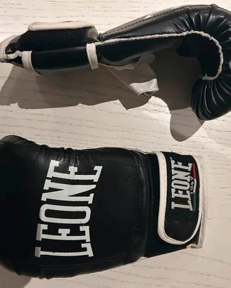 Guantoni da boxe