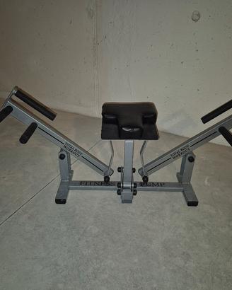 Total Body Workout