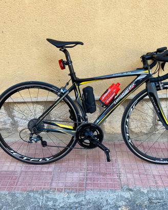 Lombardo imola 4.0 con potenziometro - ultegra 11V