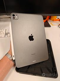 iPad Pro 11' M4 256Gb (batteria 100%)