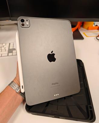 iPad Pro 11' M4 256Gb (batteria 100%)