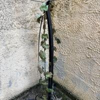 Colonna porta pianta o cero