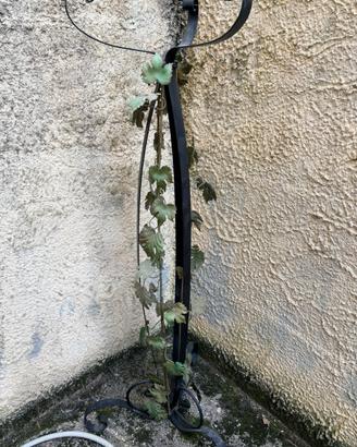 Colonna porta pianta o cero