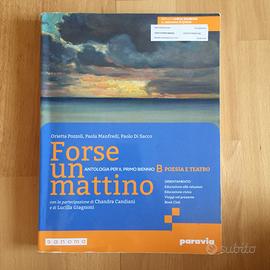 Libro di antologia | Forse un mattino