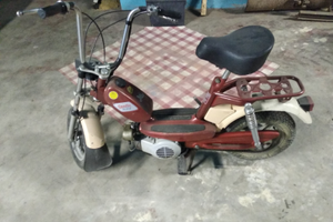Fantic Motor mod. "LEI" 50 cc