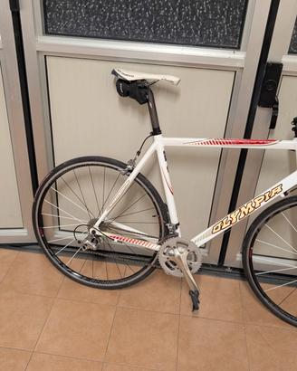 olimpia taglia L 56