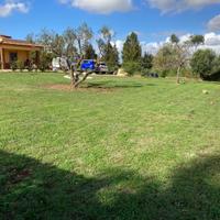 Giardiniere Potatore Attrezzato Roma Sud