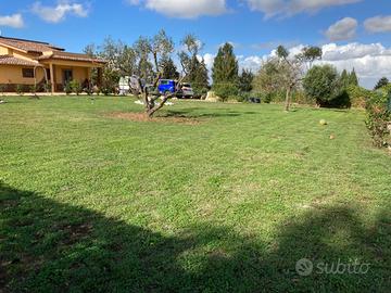 Giardiniere Potatore Attrezzato Roma Sud