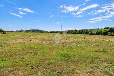 TER. AGRICOLO A LORETO
