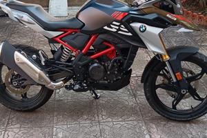 BMW G310GS