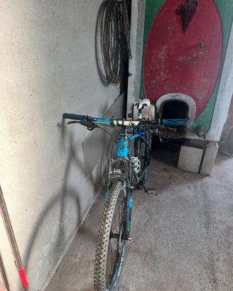 MTB Carbonio 27,5