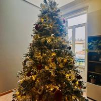 Albero di Natale alto 230 cm circa.