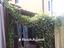 Immagine 19
