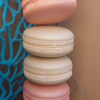 Macarons vetrina polistirolo