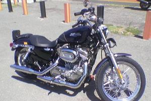 Harley Davidson 883 Super low