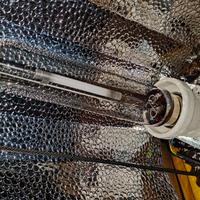 kit coltivazione indoor piante in casa