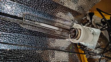 kit coltivazione indoor piante in casa