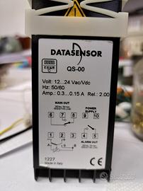 Termoregolatore DATASENSOR