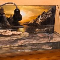 acquaterraio per tartarughe d'acqua