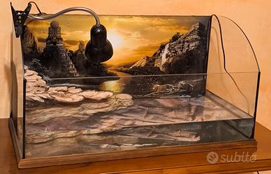 acquaterraio per tartarughe d'acqua