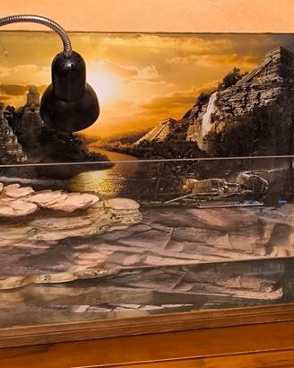 acquaterraio per tartarughe d'acqua