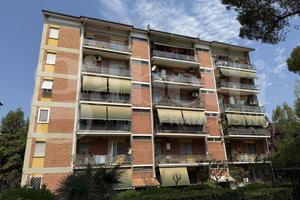 Appartamento Roma [Laurentina P1VRG]