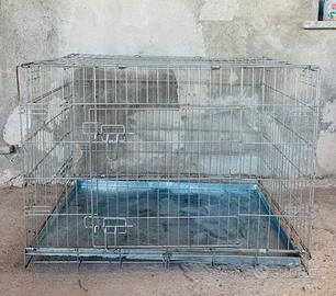 Box per cani