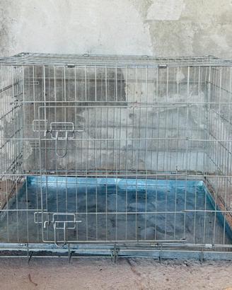 Box per cani