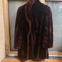 Pelliccia di castoro