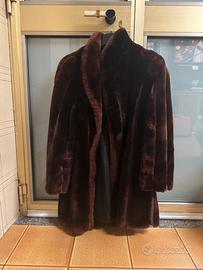 Pelliccia di castoro