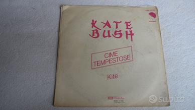 Disco (Wuthering Heights  di Kate Bush.