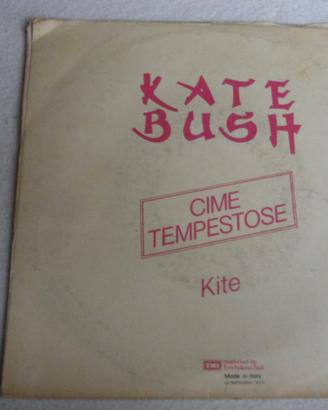 Disco (Wuthering Heights  di Kate Bush.