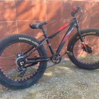 Fat bike